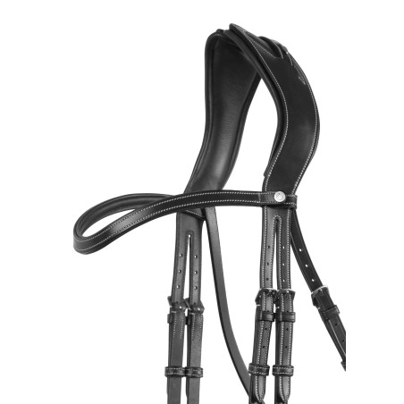 Frontale Montar curva decorazione classica