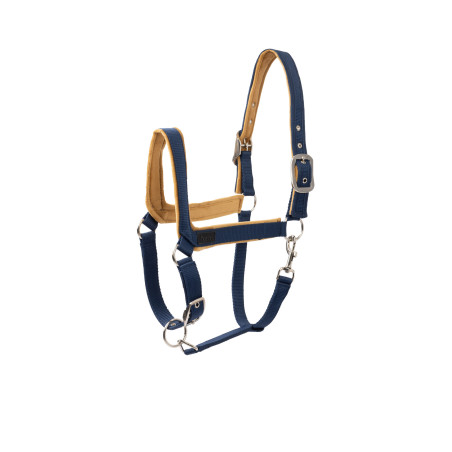 Capezza Delémont Horze