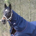 Copricollo Equithème Tyrex 1200 D 0g