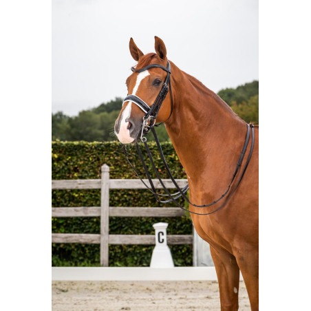 Briglia Dy'on collezione dressage cuoio piatto Capezzina Large Verniciata Fodera Bianca