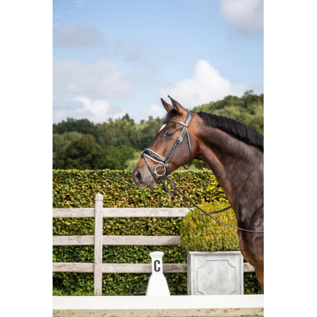 Briglia Dy'on collezione dressage cuoio piatto Capezzina Combinata Larga Verniciata Fodera Bianca