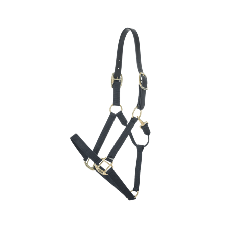 Capestro in nylon Breakaway Kentucky