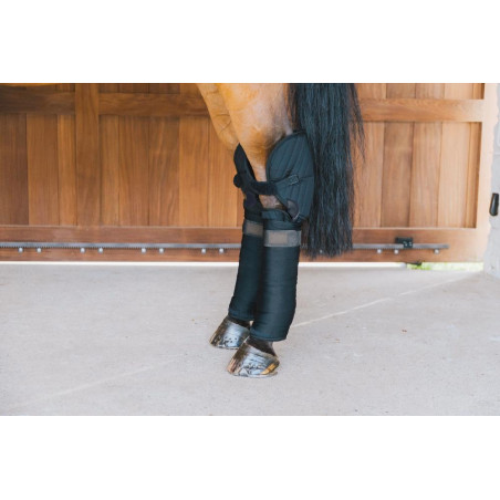 Sotto Fascia da Scuderia e da Trasporto con Protezione del Garretto Kentucky