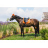 Sottosella Kentucky Diamond Rope Dressage - Arancione