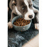 Ciotola per cane Bamboo Terrazzo Kentucky - Grigio