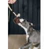 Giocattolo per cane Cotton Rope Baseball Kentucky - Marrone