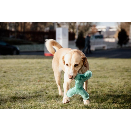 Giocattolo per cane Pastel Bone Kentucky