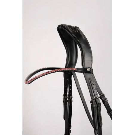 Frontalino Montar Fair crystal rose curvo