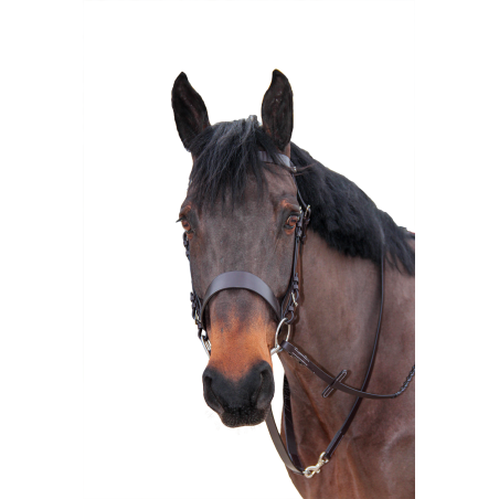 Redini intrecciate Canter