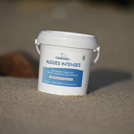 Alghe Premium Intense Cavasso