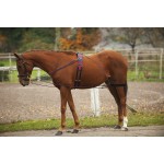 Redini ausiliarie con carrucole Norton