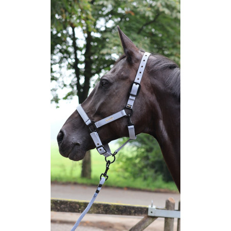 Lunga da attacco Lami-Cell Midnight