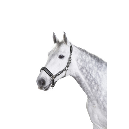 Capezzina Eskadron con fibbia