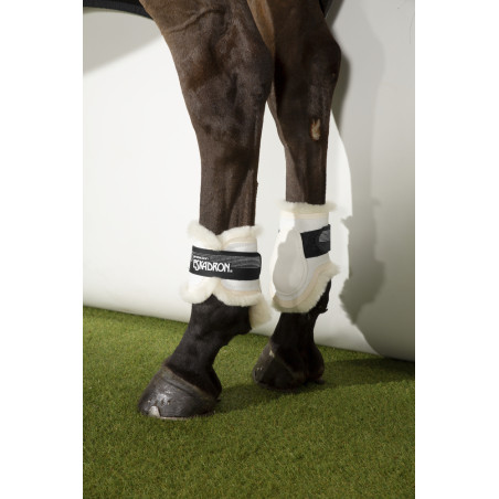 Paraglomi Eskadron con montone