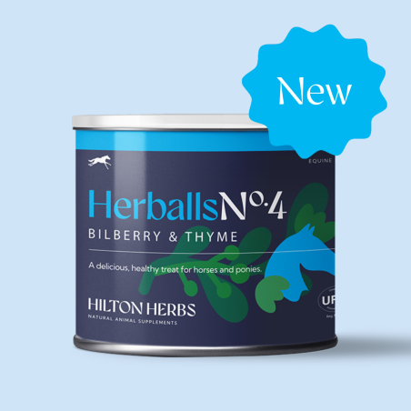 Herballs N° 4 Mirtillo & Timo Hilton Herbs