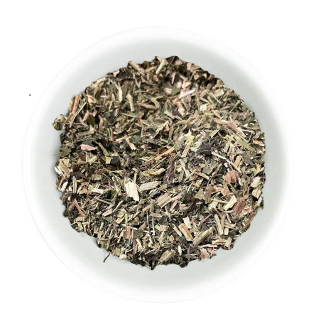 Ortica Pianta Hilton Herbs