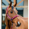 Capestro e lunghina Amigo Horseware - Mora