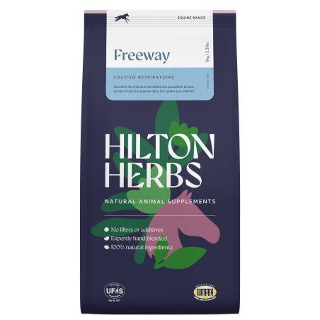 Freeway Hilton Erbe