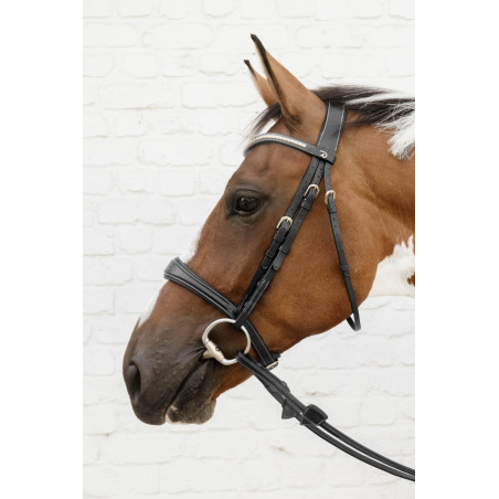 Museruola Anatomica senza Sottogola D Collection Dy'on