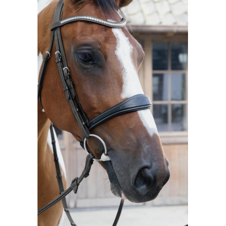 Museruola Anatomica senza Sottogola Collezione US Jumping Dy'on