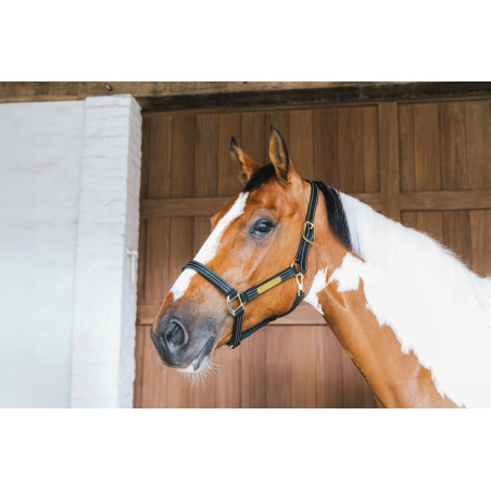 Capezzina in cuoio Wellington Kentucky