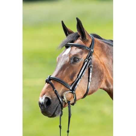 Briglia anatomica HFI