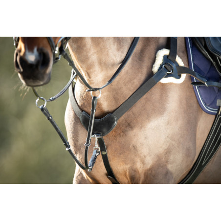 Pettorale a 5 punti HFI