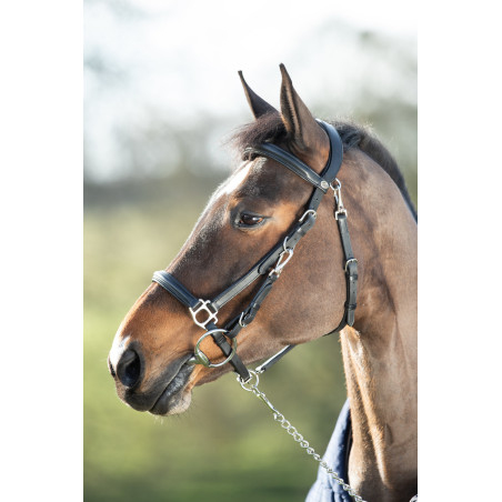 Kombination Trense / Halfter HFI