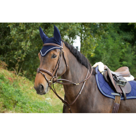 Redini Thiedeman HFI