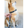 Guinzaglio per cane Polo HFI - Nero / blu navy / argento