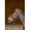 Capezza HFI Polo - Marrone / blu navy / oro