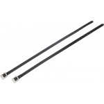 Cinghie per speroni Riding World Cristal