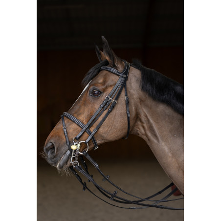 Briglia da salto HFI Master double jump