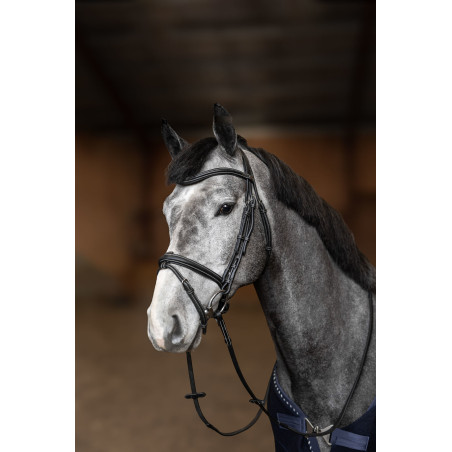 Briglia Combinata Flex HFI Master