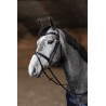 Kombiniertes Trensenzaum Painted HFI Master - Nero