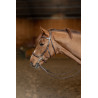 Hackamore HFI Master Bridone - Marrone
