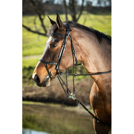 Gogue in cuoio HFI Master