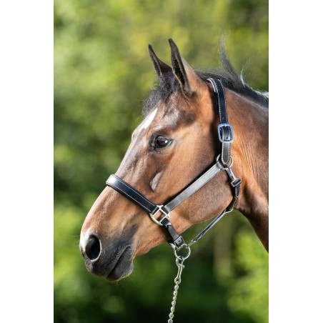 Capezza in cuoio HFI Master cuoio a doppia regolazione