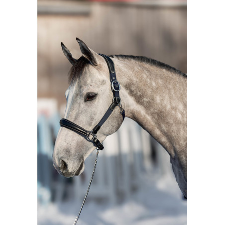 Capestro in cuoio e nylon Mixed HFI Master