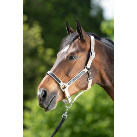 Capezza First nylon HFI Master