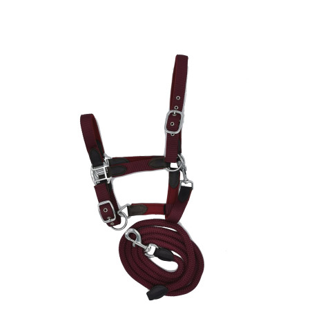 Neoprenhalfter Smart + Nylonführstrick HFI Master