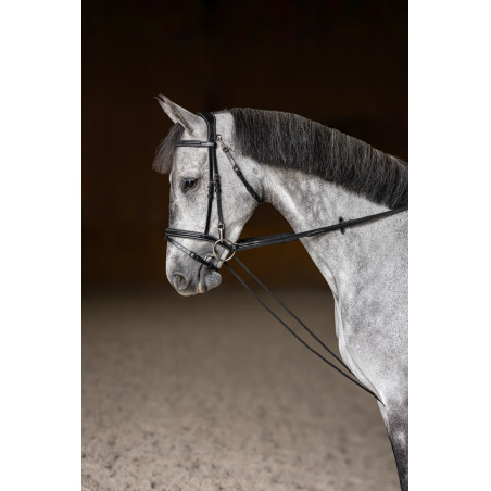 Redini tedesche HFI Master cuoio corda