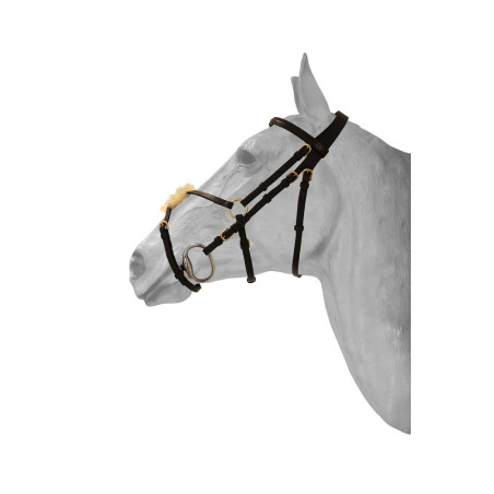 Briglia HFI capezzina messicana