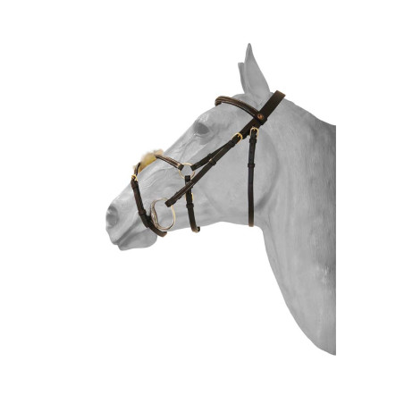 Bridon HFI capezzina messicana impunturata