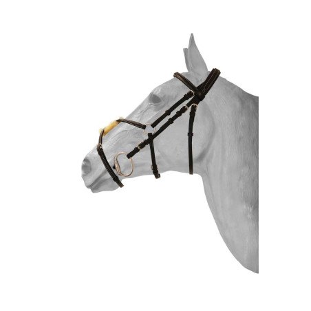 Briglia HFI capezzina messicana Diamond