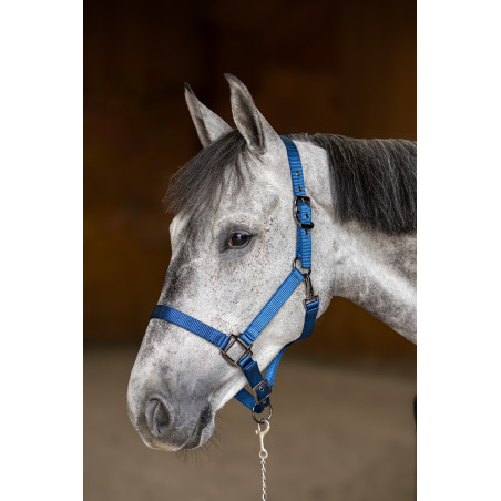 Capestro in nylon HFI Master