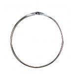 Anello di presentazione