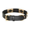 Collare per cane HV Polo Chaya - Nero / oro