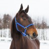 CAPEZZA YANKEE IN NYLON 20 MM - Blu
