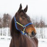 CAPEZZA YANKEE IN NYLON 20 MM - Blu / giallo